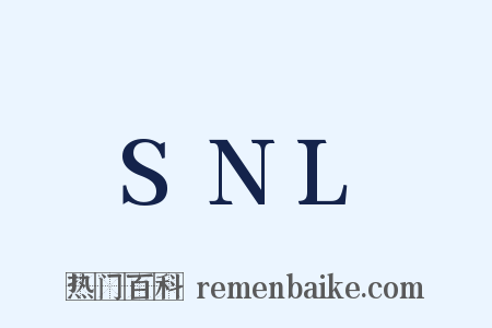 SNL是什么意思的图片
